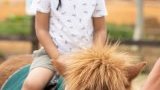 Baptême poney